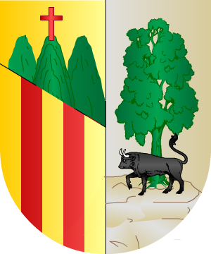 ESCUDO SIGUIENTE